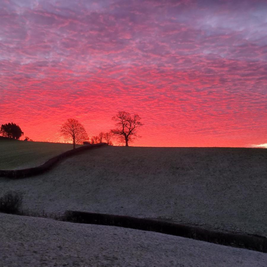 Vila Odli Glamping - Luxury Glamping Pod Welshpool Exteriér fotografie