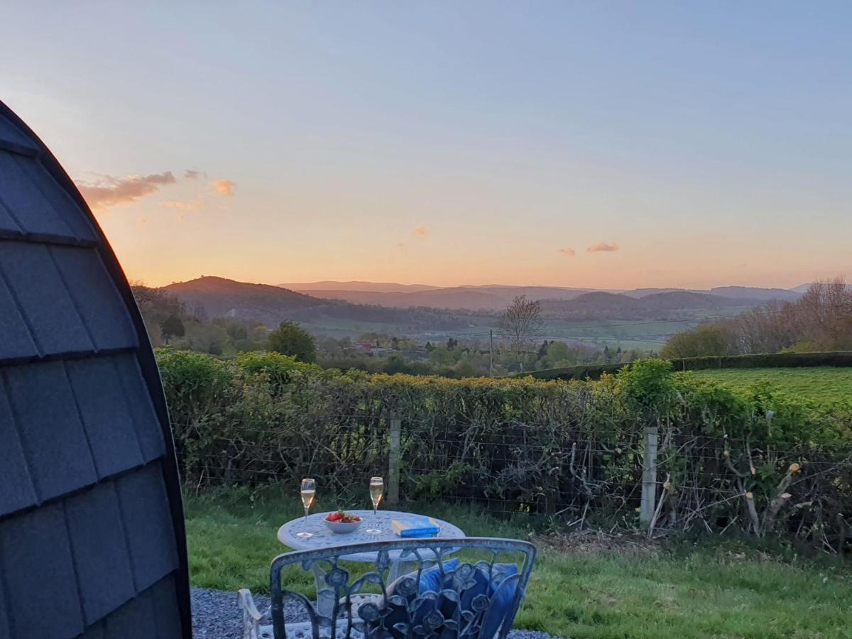 Vila Odli Glamping - Luxury Glamping Pod Welshpool Exteriér fotografie