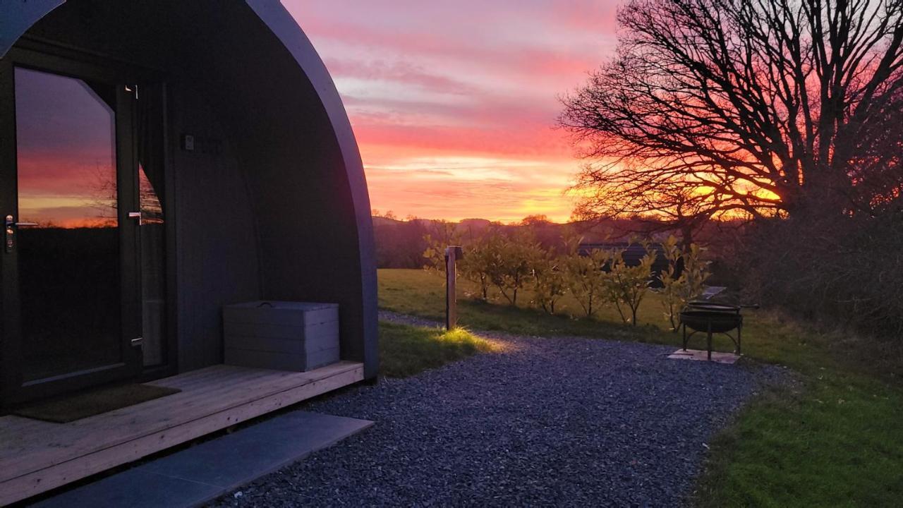 Vila Odli Glamping - Luxury Glamping Pod Welshpool Exteriér fotografie